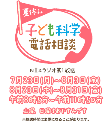 夏休み 子ども 科学 電話 相談 2019