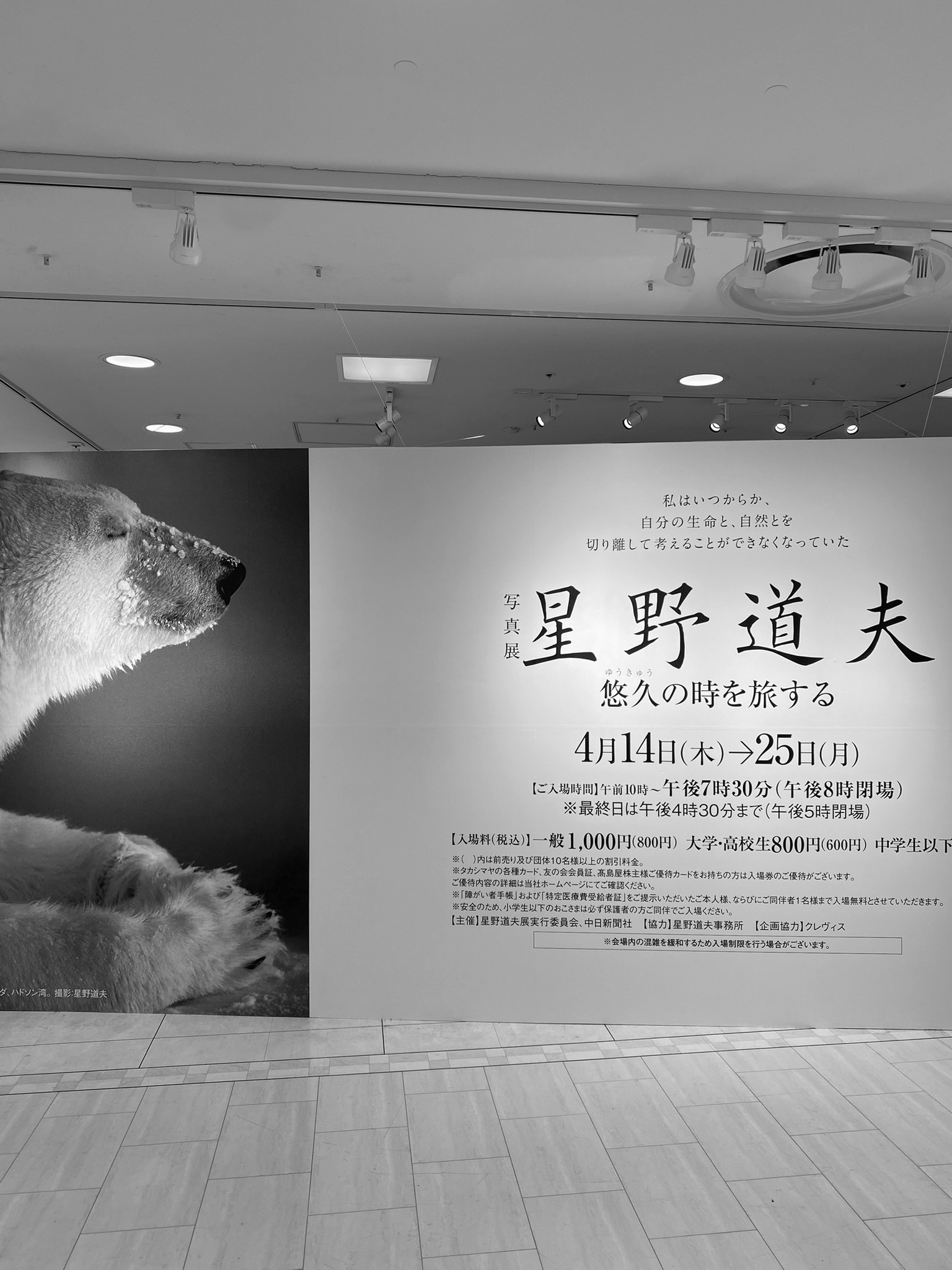 Amazon.co.jp: 日本民法学の新たな時代 - 星野英一先生追悼論文